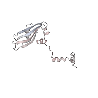 6648_5juo_VB_v1-3
Saccharomyces cerevisiae 80S ribosome bound with elongation factor eEF2-GDP-sordarin and Taura Syndrome Virus IRES, Structure I (fully rotated 40S subunit)