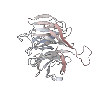 6648_5juo_WA_v1-3
Saccharomyces cerevisiae 80S ribosome bound with elongation factor eEF2-GDP-sordarin and Taura Syndrome Virus IRES, Structure I (fully rotated 40S subunit)