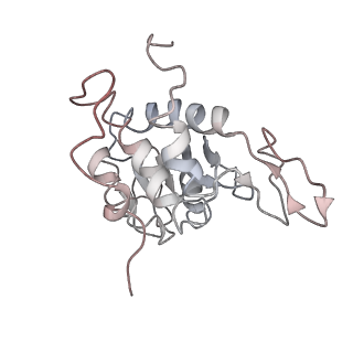 6648_5juo_XA_v1-3
Saccharomyces cerevisiae 80S ribosome bound with elongation factor eEF2-GDP-sordarin and Taura Syndrome Virus IRES, Structure I (fully rotated 40S subunit)