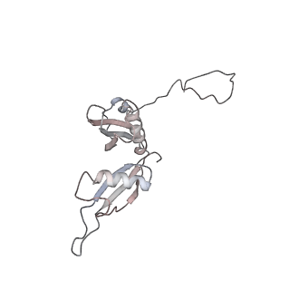 6648_5juo_X_v1-3
Saccharomyces cerevisiae 80S ribosome bound with elongation factor eEF2-GDP-sordarin and Taura Syndrome Virus IRES, Structure I (fully rotated 40S subunit)