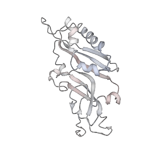 6648_5juo_YA_v1-3
Saccharomyces cerevisiae 80S ribosome bound with elongation factor eEF2-GDP-sordarin and Taura Syndrome Virus IRES, Structure I (fully rotated 40S subunit)
