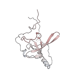 6648_5juo_Y_v1-3
Saccharomyces cerevisiae 80S ribosome bound with elongation factor eEF2-GDP-sordarin and Taura Syndrome Virus IRES, Structure I (fully rotated 40S subunit)