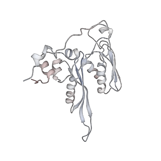 6648_5juo_ZA_v1-3
Saccharomyces cerevisiae 80S ribosome bound with elongation factor eEF2-GDP-sordarin and Taura Syndrome Virus IRES, Structure I (fully rotated 40S subunit)