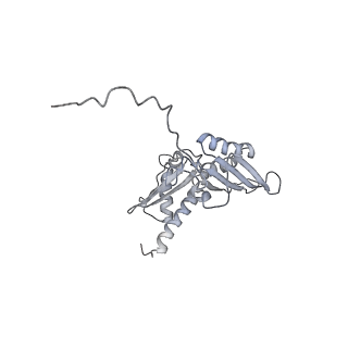 6649_5jup_AB_v1-3
Saccharomyces cerevisiae 80S ribosome bound with elongation factor eEF2-GDP-sordarin and Taura Syndrome Virus IRES, Structure II (mid-rotated 40S subunit)
