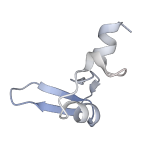 6649_5jup_BA_v1-3
Saccharomyces cerevisiae 80S ribosome bound with elongation factor eEF2-GDP-sordarin and Taura Syndrome Virus IRES, Structure II (mid-rotated 40S subunit)
