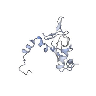 6649_5jup_DA_v1-3
Saccharomyces cerevisiae 80S ribosome bound with elongation factor eEF2-GDP-sordarin and Taura Syndrome Virus IRES, Structure II (mid-rotated 40S subunit)