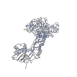 6649_5jup_DC_v1-3
Saccharomyces cerevisiae 80S ribosome bound with elongation factor eEF2-GDP-sordarin and Taura Syndrome Virus IRES, Structure II (mid-rotated 40S subunit)