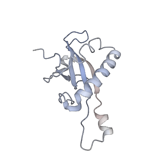 6649_5jup_EA_v1-3
Saccharomyces cerevisiae 80S ribosome bound with elongation factor eEF2-GDP-sordarin and Taura Syndrome Virus IRES, Structure II (mid-rotated 40S subunit)