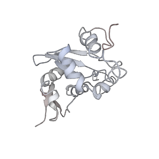 6649_5jup_EB_v1-3
Saccharomyces cerevisiae 80S ribosome bound with elongation factor eEF2-GDP-sordarin and Taura Syndrome Virus IRES, Structure II (mid-rotated 40S subunit)