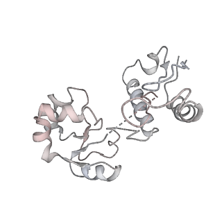 6649_5jup_E_v1-3
Saccharomyces cerevisiae 80S ribosome bound with elongation factor eEF2-GDP-sordarin and Taura Syndrome Virus IRES, Structure II (mid-rotated 40S subunit)