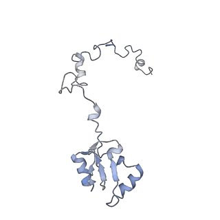 6649_5jup_FA_v1-3
Saccharomyces cerevisiae 80S ribosome bound with elongation factor eEF2-GDP-sordarin and Taura Syndrome Virus IRES, Structure II (mid-rotated 40S subunit)