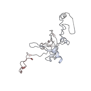 6649_5jup_FB_v1-3
Saccharomyces cerevisiae 80S ribosome bound with elongation factor eEF2-GDP-sordarin and Taura Syndrome Virus IRES, Structure II (mid-rotated 40S subunit)