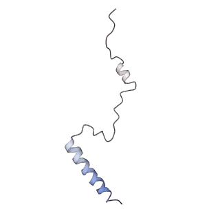 6649_5jup_GA_v1-3
Saccharomyces cerevisiae 80S ribosome bound with elongation factor eEF2-GDP-sordarin and Taura Syndrome Virus IRES, Structure II (mid-rotated 40S subunit)