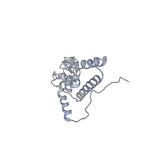 6649_5jup_GB_v1-3
Saccharomyces cerevisiae 80S ribosome bound with elongation factor eEF2-GDP-sordarin and Taura Syndrome Virus IRES, Structure II (mid-rotated 40S subunit)