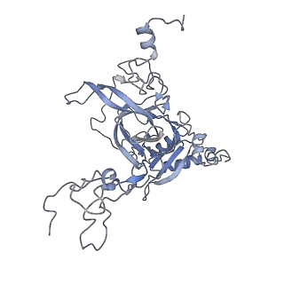 6649_5jup_G_v1-3
Saccharomyces cerevisiae 80S ribosome bound with elongation factor eEF2-GDP-sordarin and Taura Syndrome Virus IRES, Structure II (mid-rotated 40S subunit)