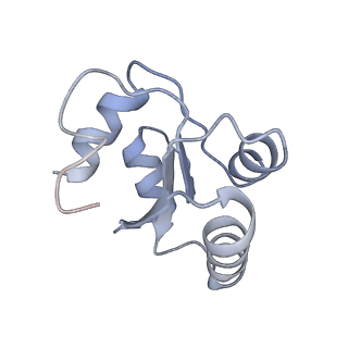 6649_5jup_HA_v1-3
Saccharomyces cerevisiae 80S ribosome bound with elongation factor eEF2-GDP-sordarin and Taura Syndrome Virus IRES, Structure II (mid-rotated 40S subunit)