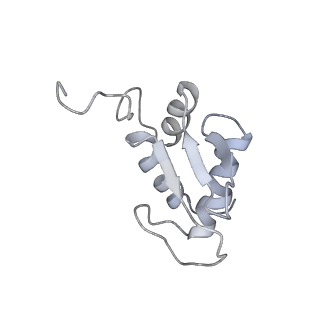 6649_5jup_HB_v1-3
Saccharomyces cerevisiae 80S ribosome bound with elongation factor eEF2-GDP-sordarin and Taura Syndrome Virus IRES, Structure II (mid-rotated 40S subunit)