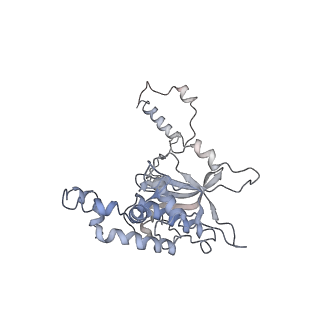 6649_5jup_I_v1-3
Saccharomyces cerevisiae 80S ribosome bound with elongation factor eEF2-GDP-sordarin and Taura Syndrome Virus IRES, Structure II (mid-rotated 40S subunit)