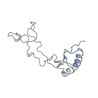 6649_5jup_JA_v1-3
Saccharomyces cerevisiae 80S ribosome bound with elongation factor eEF2-GDP-sordarin and Taura Syndrome Virus IRES, Structure II (mid-rotated 40S subunit)