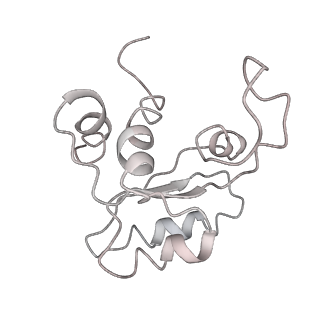 6649_5jup_JB_v1-3
Saccharomyces cerevisiae 80S ribosome bound with elongation factor eEF2-GDP-sordarin and Taura Syndrome Virus IRES, Structure II (mid-rotated 40S subunit)