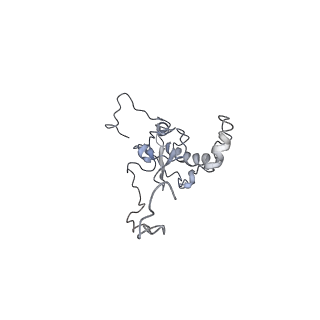 6649_5jup_J_v1-3
Saccharomyces cerevisiae 80S ribosome bound with elongation factor eEF2-GDP-sordarin and Taura Syndrome Virus IRES, Structure II (mid-rotated 40S subunit)