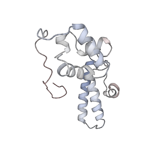 6649_5jup_KB_v1-3
Saccharomyces cerevisiae 80S ribosome bound with elongation factor eEF2-GDP-sordarin and Taura Syndrome Virus IRES, Structure II (mid-rotated 40S subunit)