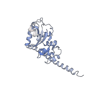 6649_5jup_K_v1-3
Saccharomyces cerevisiae 80S ribosome bound with elongation factor eEF2-GDP-sordarin and Taura Syndrome Virus IRES, Structure II (mid-rotated 40S subunit)