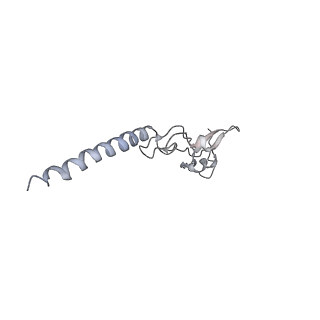 6649_5jup_LA_v1-3
Saccharomyces cerevisiae 80S ribosome bound with elongation factor eEF2-GDP-sordarin and Taura Syndrome Virus IRES, Structure II (mid-rotated 40S subunit)