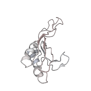 6649_5jup_LB_v1-3
Saccharomyces cerevisiae 80S ribosome bound with elongation factor eEF2-GDP-sordarin and Taura Syndrome Virus IRES, Structure II (mid-rotated 40S subunit)