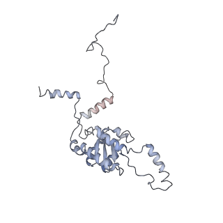 6649_5jup_L_v1-3
Saccharomyces cerevisiae 80S ribosome bound with elongation factor eEF2-GDP-sordarin and Taura Syndrome Virus IRES, Structure II (mid-rotated 40S subunit)