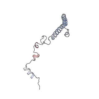 6649_5jup_MA_v1-3
Saccharomyces cerevisiae 80S ribosome bound with elongation factor eEF2-GDP-sordarin and Taura Syndrome Virus IRES, Structure II (mid-rotated 40S subunit)
