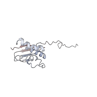 6649_5jup_NB_v1-3
Saccharomyces cerevisiae 80S ribosome bound with elongation factor eEF2-GDP-sordarin and Taura Syndrome Virus IRES, Structure II (mid-rotated 40S subunit)