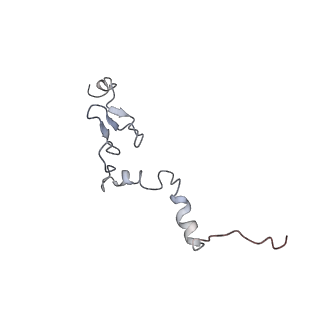 6649_5jup_OA_v1-3
Saccharomyces cerevisiae 80S ribosome bound with elongation factor eEF2-GDP-sordarin and Taura Syndrome Virus IRES, Structure II (mid-rotated 40S subunit)