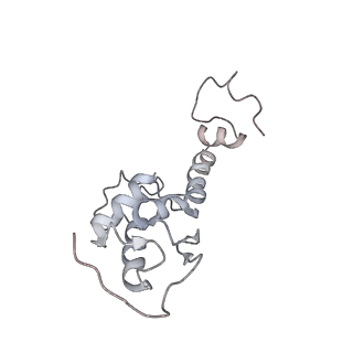 6649_5jup_PB_v1-3
Saccharomyces cerevisiae 80S ribosome bound with elongation factor eEF2-GDP-sordarin and Taura Syndrome Virus IRES, Structure II (mid-rotated 40S subunit)