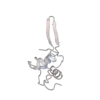 6649_5jup_P_v1-3
Saccharomyces cerevisiae 80S ribosome bound with elongation factor eEF2-GDP-sordarin and Taura Syndrome Virus IRES, Structure II (mid-rotated 40S subunit)