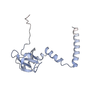 6649_5jup_R_v1-3
Saccharomyces cerevisiae 80S ribosome bound with elongation factor eEF2-GDP-sordarin and Taura Syndrome Virus IRES, Structure II (mid-rotated 40S subunit)