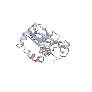 6649_5jup_S_v1-3
Saccharomyces cerevisiae 80S ribosome bound with elongation factor eEF2-GDP-sordarin and Taura Syndrome Virus IRES, Structure II (mid-rotated 40S subunit)