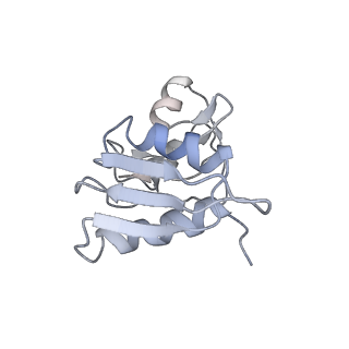 6649_5jup_TB_v1-3
Saccharomyces cerevisiae 80S ribosome bound with elongation factor eEF2-GDP-sordarin and Taura Syndrome Virus IRES, Structure II (mid-rotated 40S subunit)