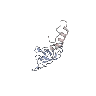 6649_5jup_UB_v1-3
Saccharomyces cerevisiae 80S ribosome bound with elongation factor eEF2-GDP-sordarin and Taura Syndrome Virus IRES, Structure II (mid-rotated 40S subunit)