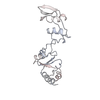 6649_5jup_VA_v1-3
Saccharomyces cerevisiae 80S ribosome bound with elongation factor eEF2-GDP-sordarin and Taura Syndrome Virus IRES, Structure II (mid-rotated 40S subunit)