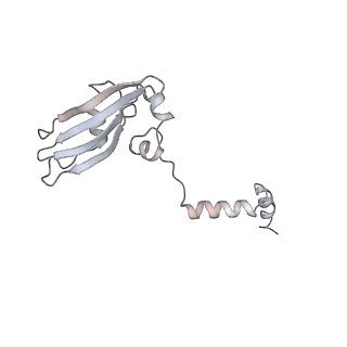 6649_5jup_VB_v1-3
Saccharomyces cerevisiae 80S ribosome bound with elongation factor eEF2-GDP-sordarin and Taura Syndrome Virus IRES, Structure II (mid-rotated 40S subunit)