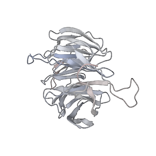 6649_5jup_WA_v1-3
Saccharomyces cerevisiae 80S ribosome bound with elongation factor eEF2-GDP-sordarin and Taura Syndrome Virus IRES, Structure II (mid-rotated 40S subunit)