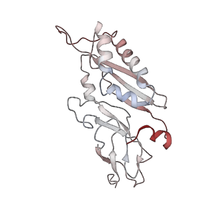 6649_5jup_YA_v1-3
Saccharomyces cerevisiae 80S ribosome bound with elongation factor eEF2-GDP-sordarin and Taura Syndrome Virus IRES, Structure II (mid-rotated 40S subunit)