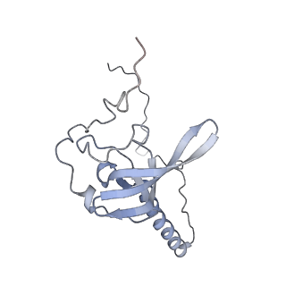 6649_5jup_Y_v1-3
Saccharomyces cerevisiae 80S ribosome bound with elongation factor eEF2-GDP-sordarin and Taura Syndrome Virus IRES, Structure II (mid-rotated 40S subunit)