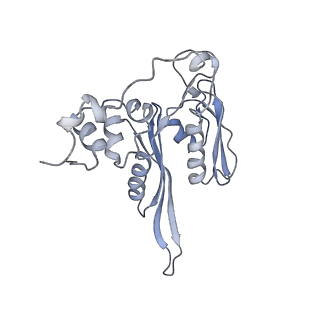 6649_5jup_ZA_v1-3
Saccharomyces cerevisiae 80S ribosome bound with elongation factor eEF2-GDP-sordarin and Taura Syndrome Virus IRES, Structure II (mid-rotated 40S subunit)