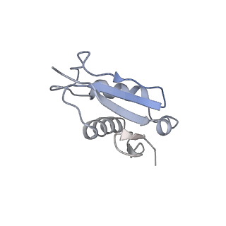 6649_5jup_Z_v1-3
Saccharomyces cerevisiae 80S ribosome bound with elongation factor eEF2-GDP-sordarin and Taura Syndrome Virus IRES, Structure II (mid-rotated 40S subunit)