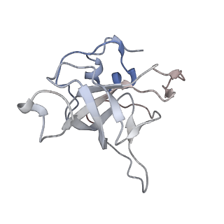 6650_5jus_AA_v1-4
Saccharomyces cerevisiae 80S ribosome bound with elongation factor eEF2-GDP-sordarin and Taura Syndrome Virus IRES, Structure III (mid-rotated 40S subunit)