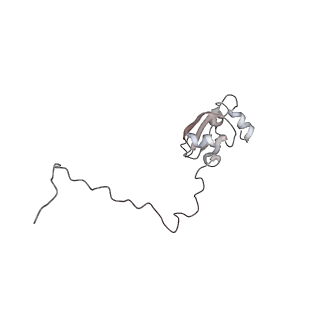 6650_5jus_CA_v1-4
Saccharomyces cerevisiae 80S ribosome bound with elongation factor eEF2-GDP-sordarin and Taura Syndrome Virus IRES, Structure III (mid-rotated 40S subunit)