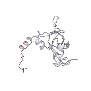 6650_5jus_DA_v1-4
Saccharomyces cerevisiae 80S ribosome bound with elongation factor eEF2-GDP-sordarin and Taura Syndrome Virus IRES, Structure III (mid-rotated 40S subunit)