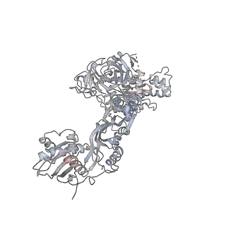 6650_5jus_DC_v1-4
Saccharomyces cerevisiae 80S ribosome bound with elongation factor eEF2-GDP-sordarin and Taura Syndrome Virus IRES, Structure III (mid-rotated 40S subunit)